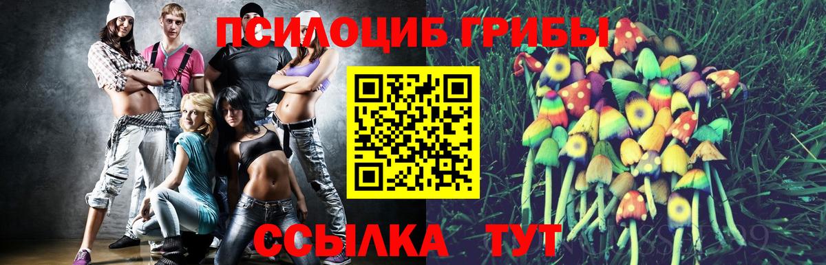 Ишимбай  Псилоцибиновые грибы мицелий  Вход с VPN 